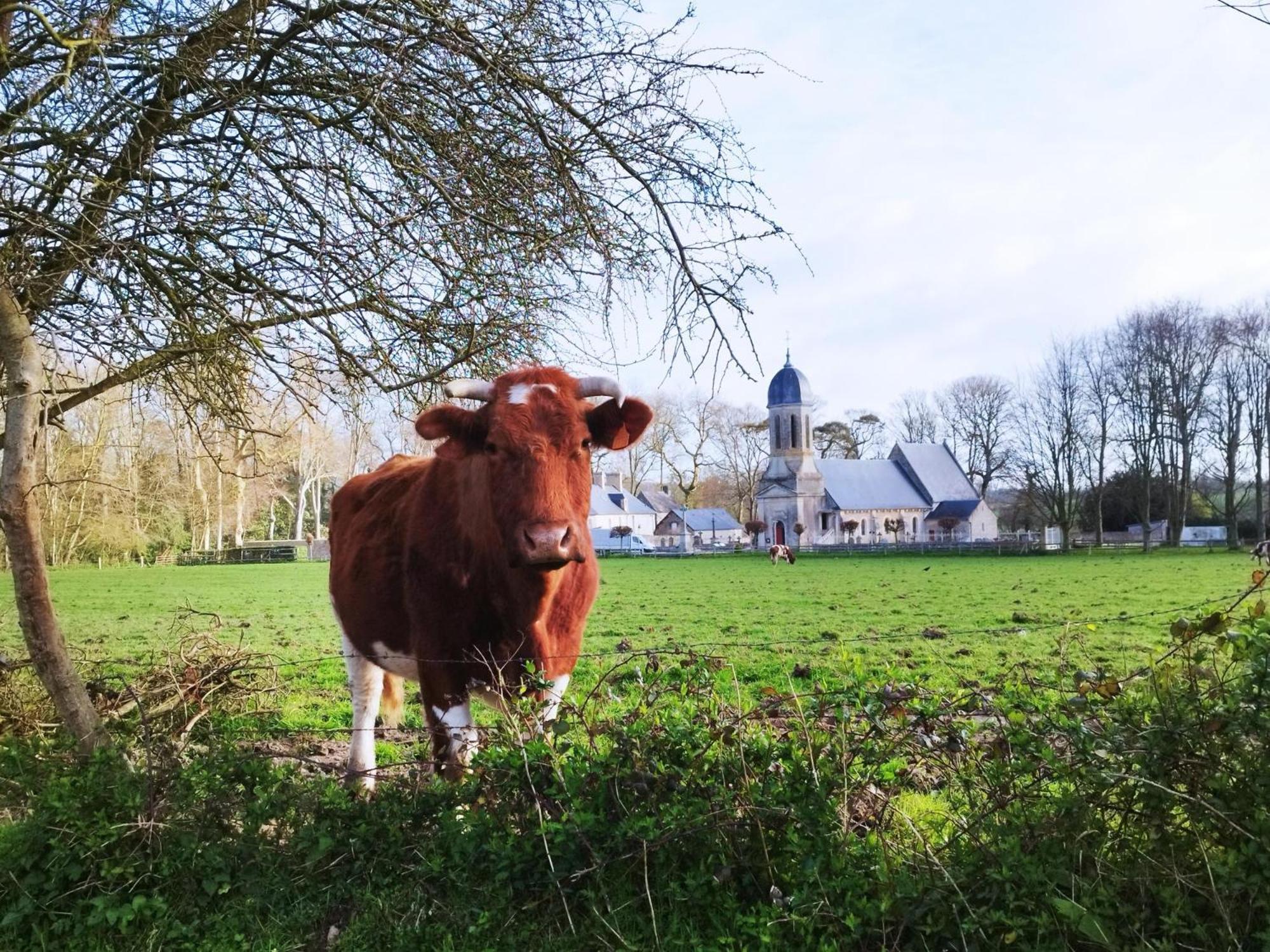 Comme A La "Maisons" Maisons  Eksteriør billede